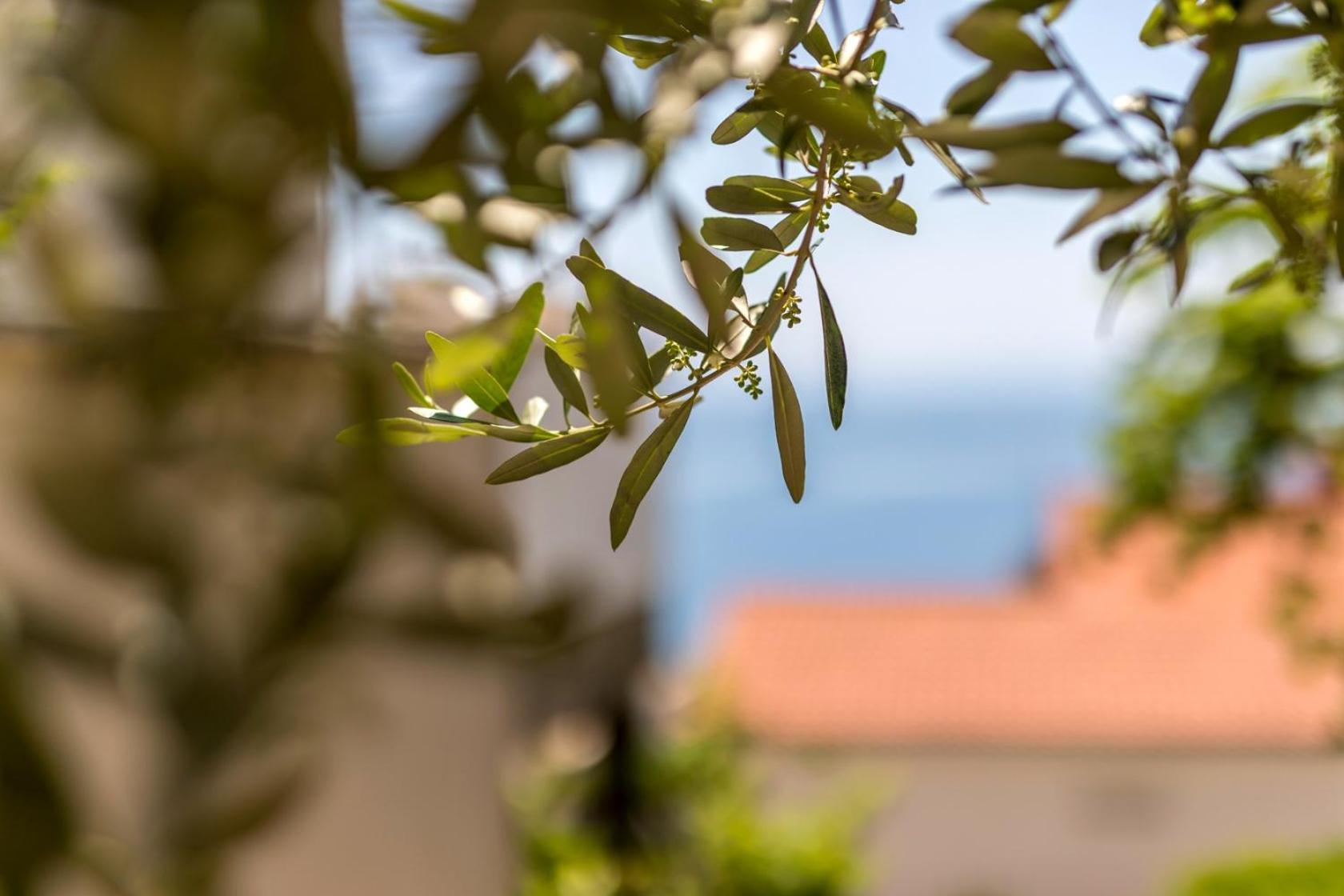 Apartments With A Parking Space Baska Voda, Makarska - 301 Buitenkant foto